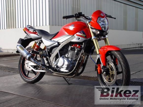 2011 Tiger Boxer 250 RS photo